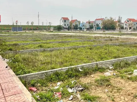 Đất nền vùng ven giảm tới 65% sau cơn sốt, thanh khoản vẫn thấp