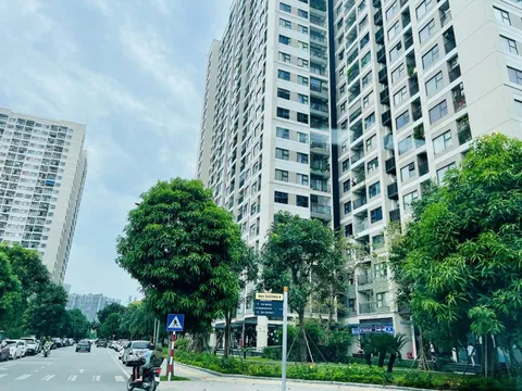 Savills: Người mua chung cư đang trở nên kỹ tính và nhạy cảm hơn về giá