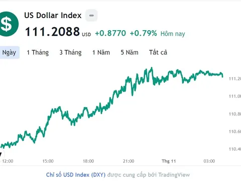 Tỷ giá USD hôm nay 2/11: Cập nhật tỷ giá USD trong nước và quốc tế