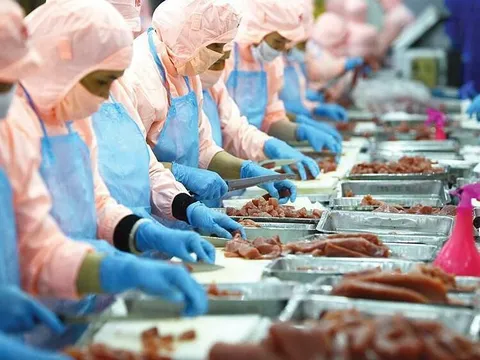 Xuất khẩu thủy sản Việt Nam vượt mốc 10 tỷ USD trong 11 tháng