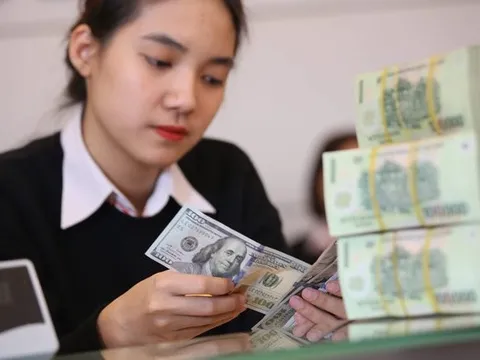 Tỷ giá USD hôm nay 31/3: Cập nhật tỷ giá USD trong nước và quốc tế