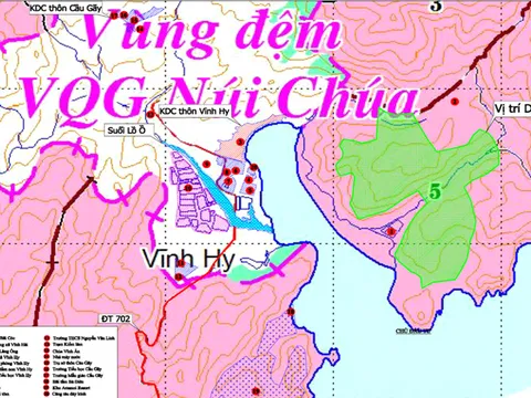 Thành viên BIM Group muốn lấy gần 12ha rừng tại Vườn quốc gia Núi Chúa để làm khu nghỉ dưỡng