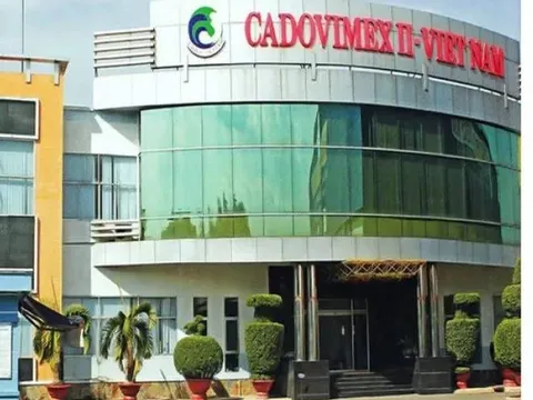 Khởi tố 5 cựu Tổng Giám đốc Công ty Cadovimex