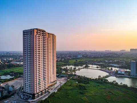 Thanh tra Chính phủ: 'Xử lý dứt điểm khiếu nại tại chung cư Osaka Complex'