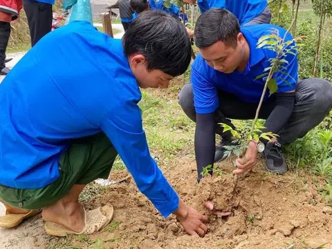 Nhân lên tinh thần xung kích, sáng tạo của tuổi trẻ Lào Cai