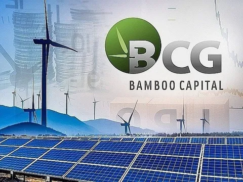 Bamboo Capital bổ nhiệm tân Phó Tổng giám đốc