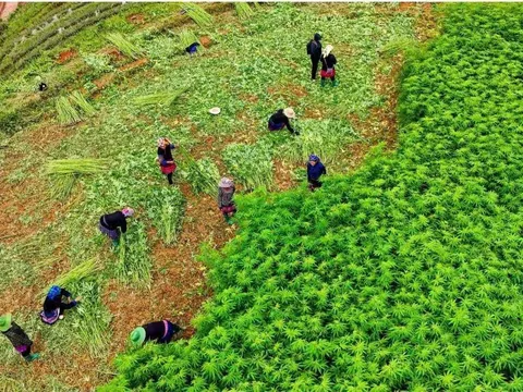 Thi đua, sáng tạo, thực hiện hiệu quả các cuộc vận động lớn và phong trào thi đua yêu nước