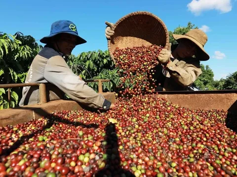 Chậm nhất 15/7, trình Chính phủ Nghị quyết tháo gỡ "điểm nghẽn" xuất khẩu nông sản