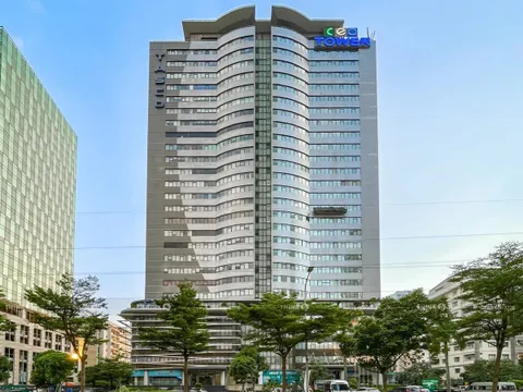 CEO báo lãi tăng gần 54% trong 6 tháng đầu năm, tiền giảm hơn một nửa