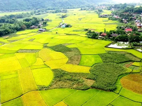 Khám phá "Làng du lịch tốt nhất" Lâm Thượng, Lào Cai