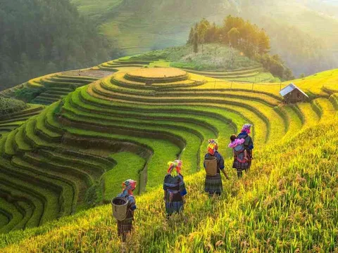 Việt Nam lọt top 4 điểm đến du lịch mùa thu đẹp nhất thế giới