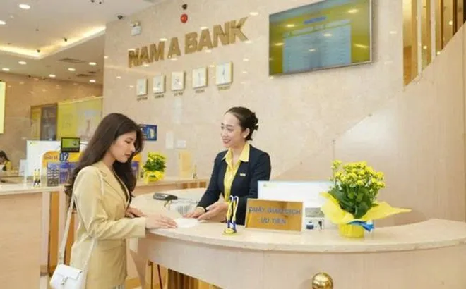 7 nhà đầu tư dự mua 100 triệu cổ phiếu riêng lẻ của Nam A Bank