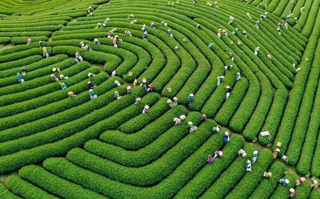 Điều chỉnh Quy hoạch 6 vùng: Nhấn mạnh yêu cầu phát triển bền vững