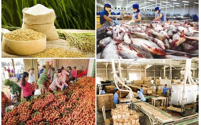 Xuất khẩu nông lâm thủy sản đạt 23 tỷ USD trong 4 tháng