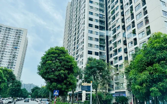 Savills: Người mua chung cư đang trở nên kỹ tính và nhạy cảm hơn về giá